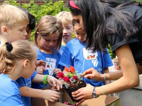 Person Teaching young students