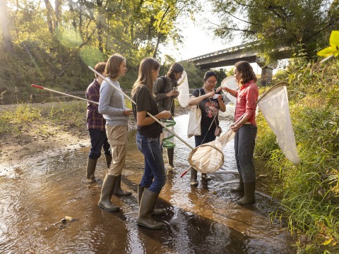 Idelle Cooper and her students walk through a stream with nets to catch insects
