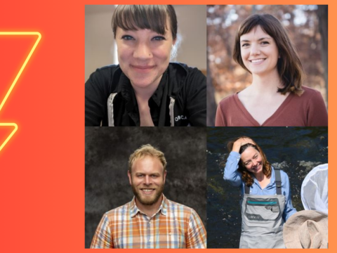 Lightning bolt with new faculty images