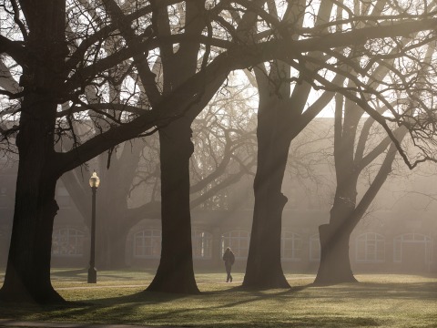 A lone student walks across campus in the fog