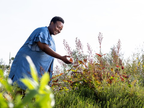 Beronda with plants outdoors 