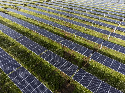 solar farm 