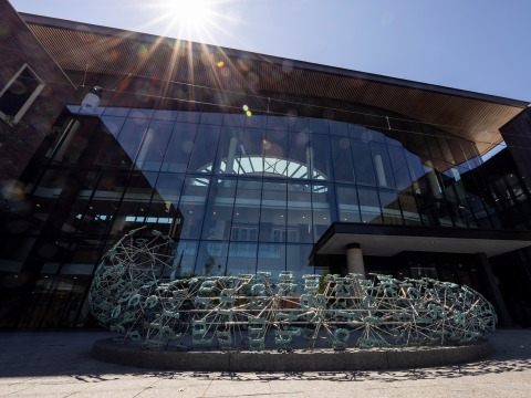 sun shining down on HSSC