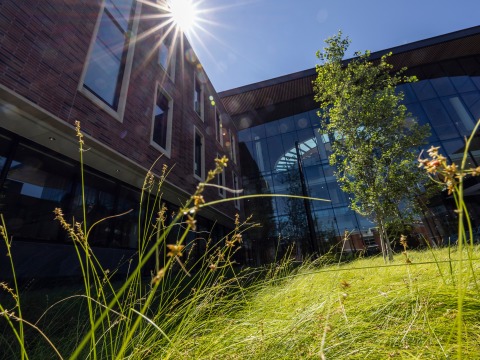 sun shining down on HSSC