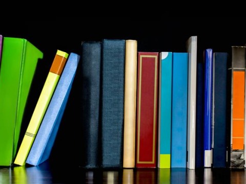 An illustraction of a shelf of colorful books of different sizes and shapes.