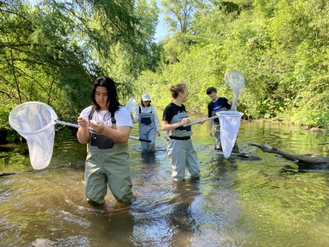 Four young people carrying butterfly nets walk in a shallow stream surrounded by trees