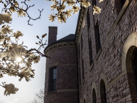 MtC Banner: flowering trees outside a stone building