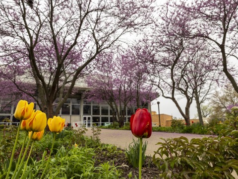 Burling Library