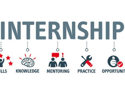 Internship: goal, skills, knowledge, mentoring, practice, opportunity, training