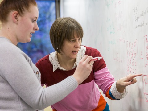 Professor Shuman and a student work through a math problem on a whiteboard.