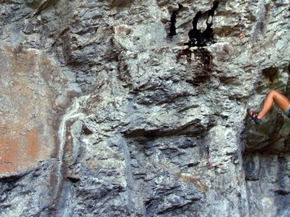 Grinnell College Homepage