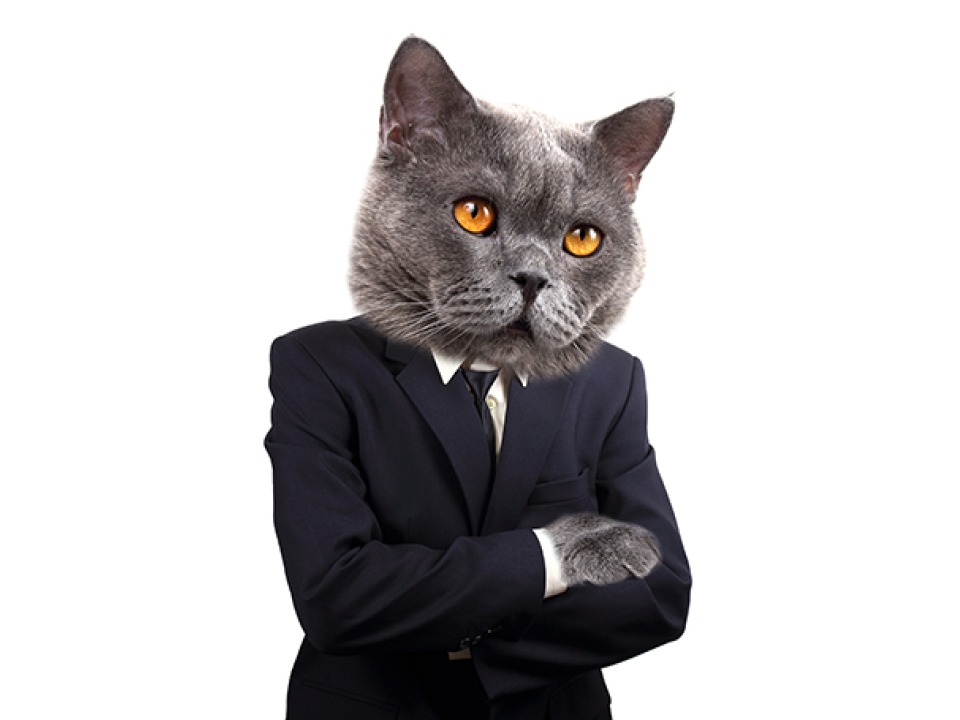 Grinnell College Homepage