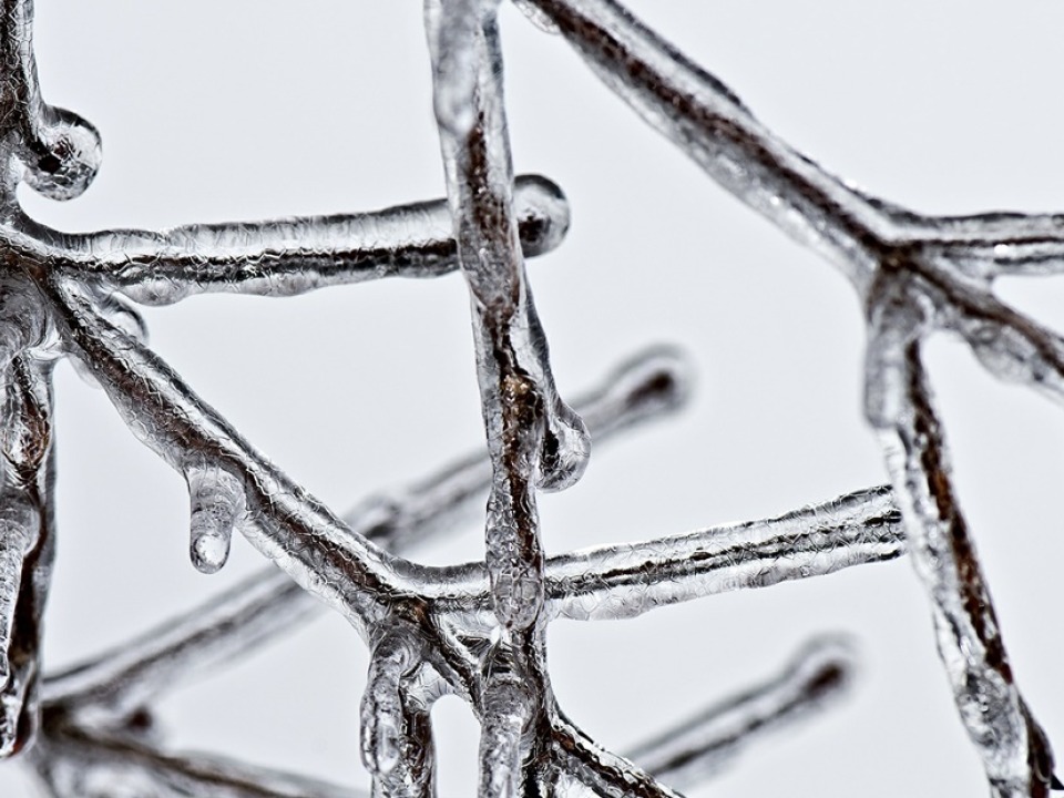 Grinnell College Homepage