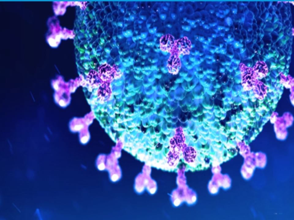 Grinnell College Homepage