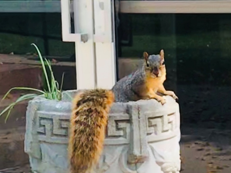 Grinnell College Homepage