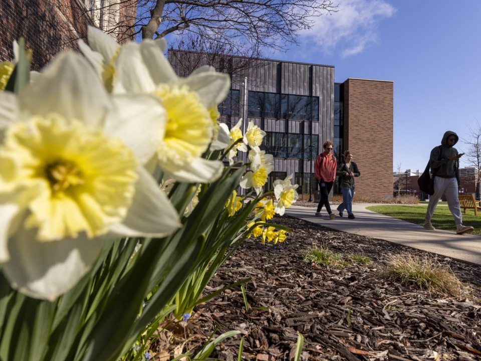 flowers and people walking