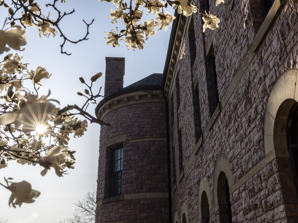 MtC Banner: flowering trees outside a stone building