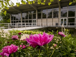 Burling Library in early summer