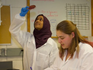 Zina Ibrahim ’17 and Alexandra J. Petrusan ’18 research antimicrobial copper alloys.