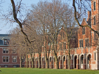 Bare trees in front of North Campus