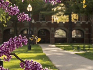 View of Gates Rawson arch way from behind red bud branches