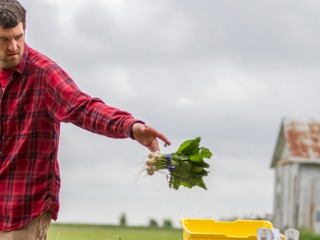 Jordan Scheibel tosses some radishes into a bucket