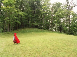 figure in red riding hood in a clearing by a forest