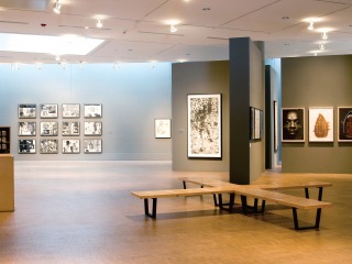 Faulconer Gallery exhibition: For Campus and Community