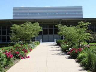 Spring outside Burling