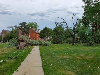 Tree damage from derecho storm near Mears Cottage