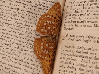Book with ancient butterfly as bookmark
