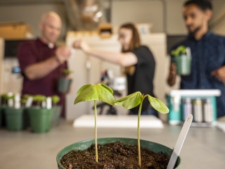 Two plant sprouts growing in a lab, with students working in the background.