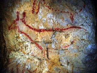 A closeup view of ancient cave art depicting a red deer in Covalanas cave
