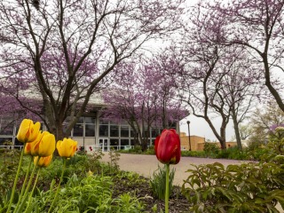 Burling Library