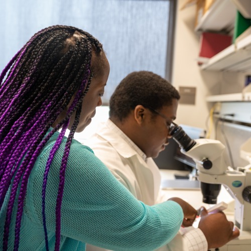 A woman with purple braids and a blue sweater looks over the shoulder of a student. She is pointing something out in the cells that the student is viewing through a microscope.