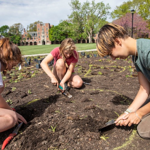 prairie planting