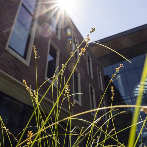 The HSSC in summer, with tall grass in the foreground