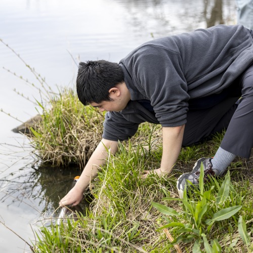 A student reaches down to collect a water sample at Arbor Lake