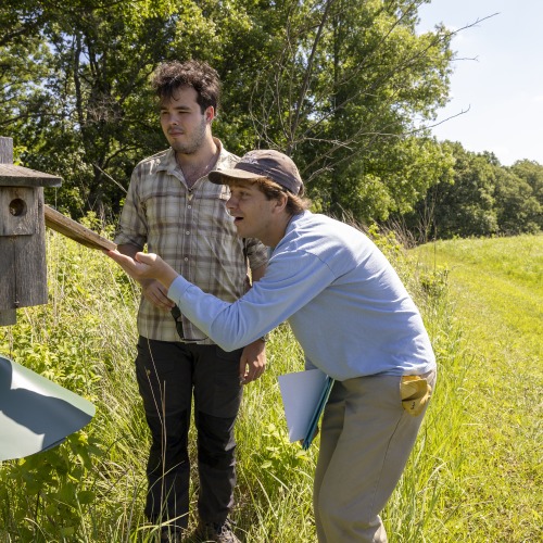 A male student lifts the side of a bluebird box while two other students look on