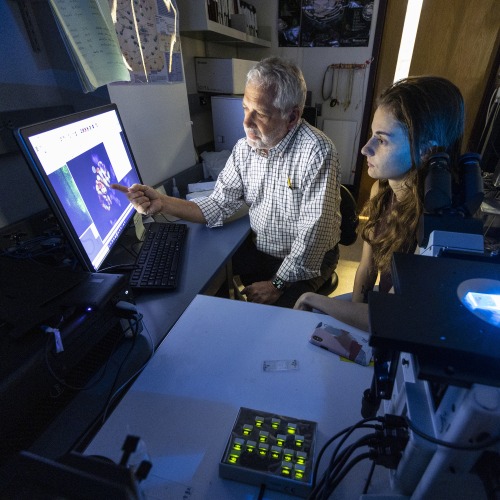 Professor Lindgren and Student