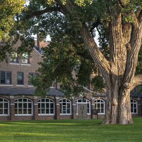 A huge tree casts shade on the South Campus residence halls.