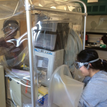 Two students working with equipment in an anaerobic bag