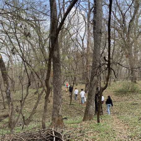 A line of people walk along a trail through the woods, away from the camera. They carry buckets, backpacks, and notebooks.