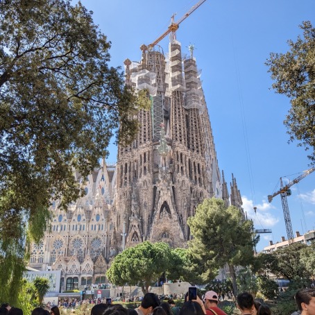 An ornate and large cathedral towers above the heads of tourists. Several cranes surround the building in the act of construction.