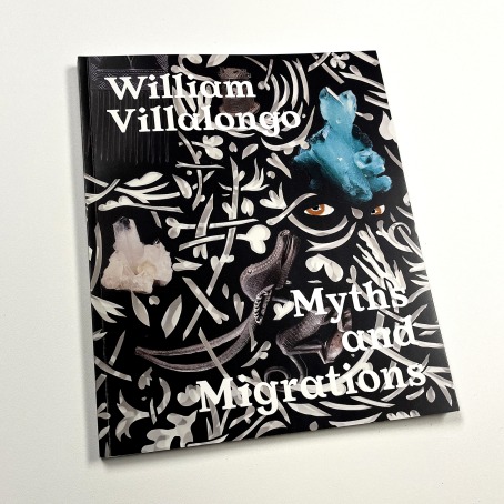 William Villalongo: Myths and Migrations, exhibition catalogue published by the Grinnell College Museum of Art, 2024.